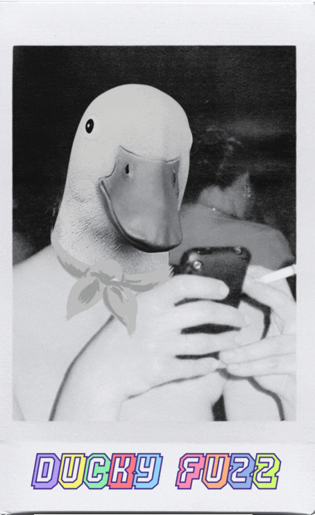 Duck messaging his duck mates